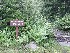 Trail Head on Canaan Loop Road